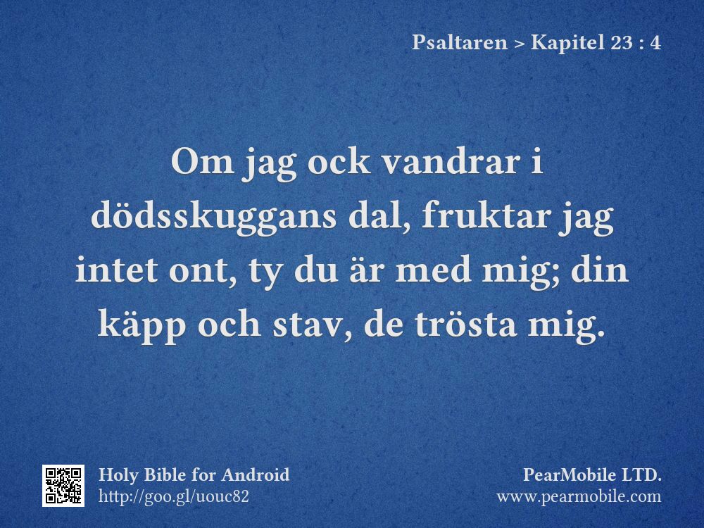 Psaltaren, Kapitel 23:4